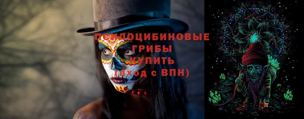 прущая мука Богородицк